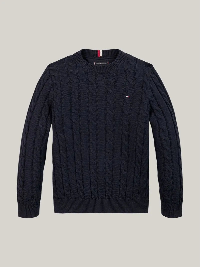 Tommy hilfiger Sueter Azul