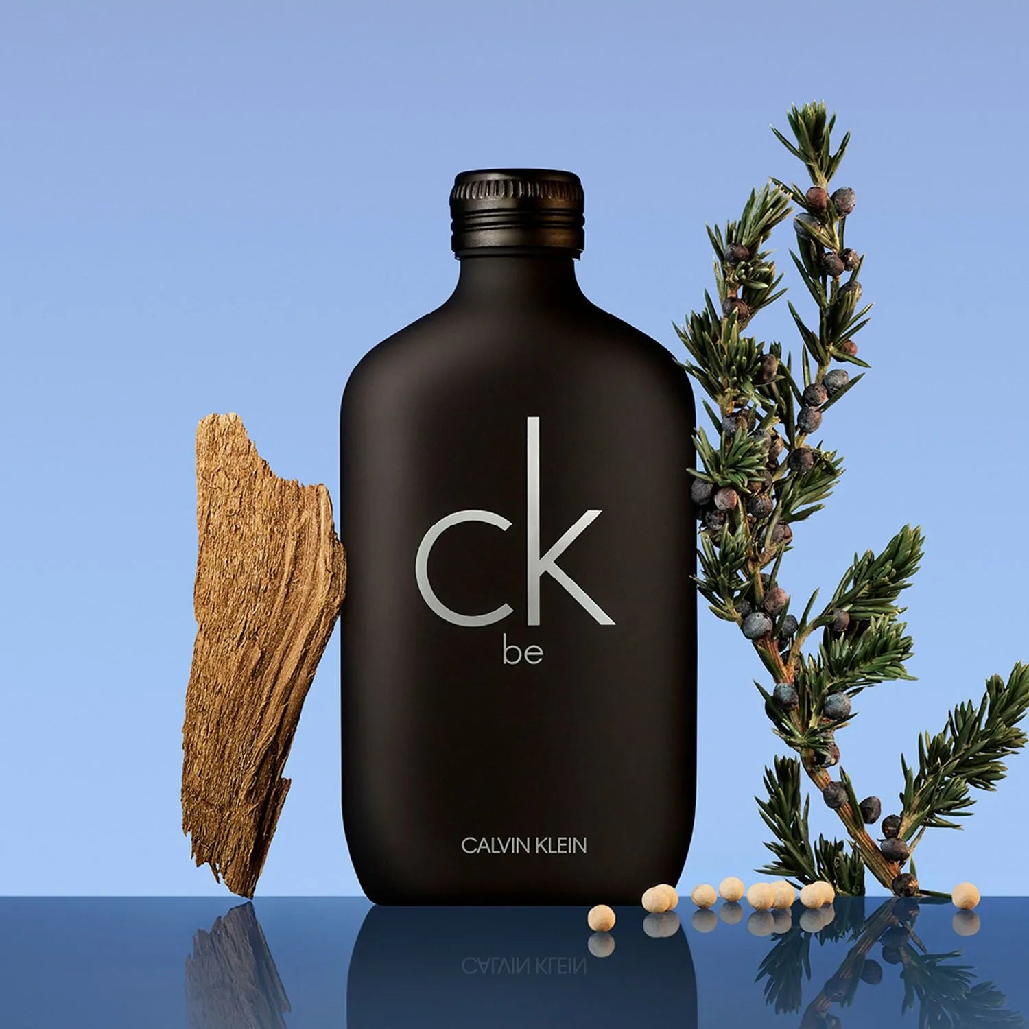Calvin Klein CK Be Eau de Toilette 200 ml Calvin Klein Unisex